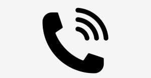 Ok Traslado Accesible